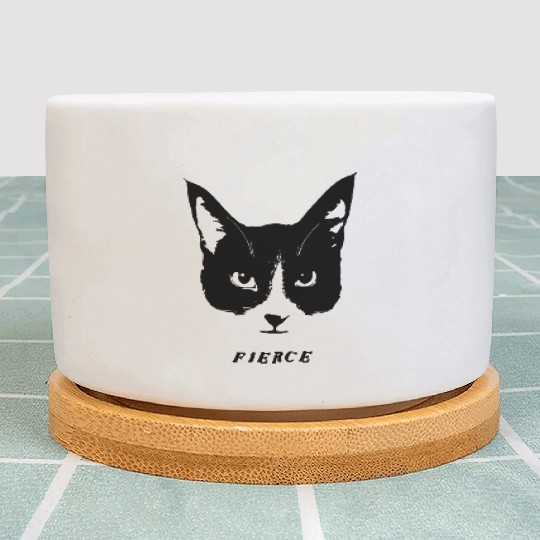 Fierce Cat Face Plant Pots