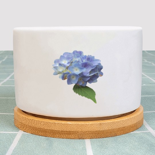 flowers lilies tulips orchids sunflower dahlia ger Plant Pots