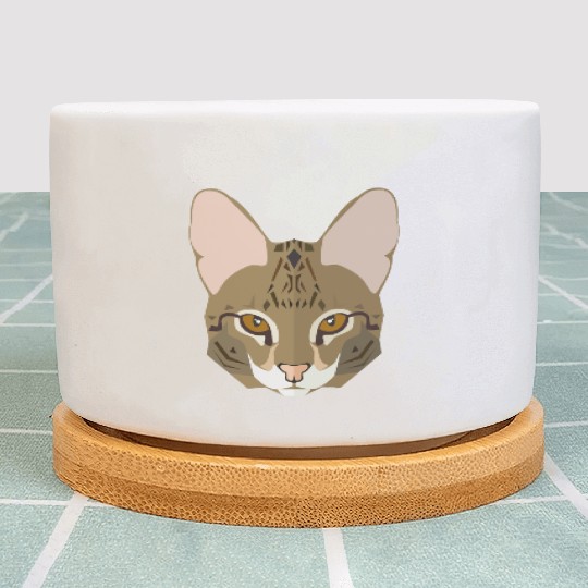Cat face Plant Pots
