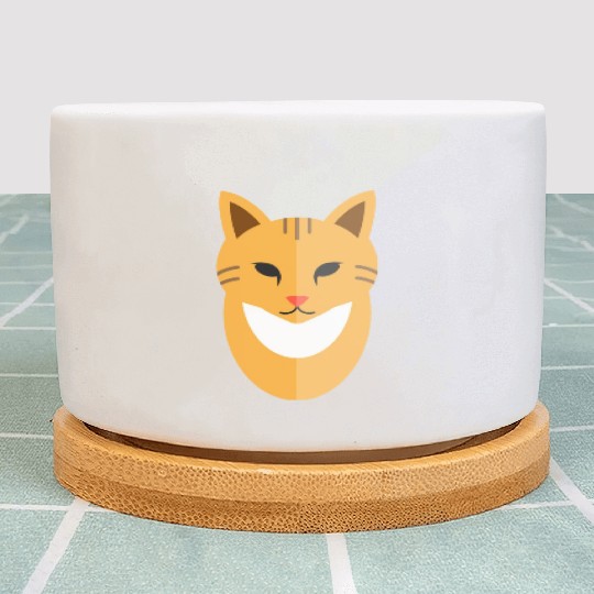 Cat face Plant Pots