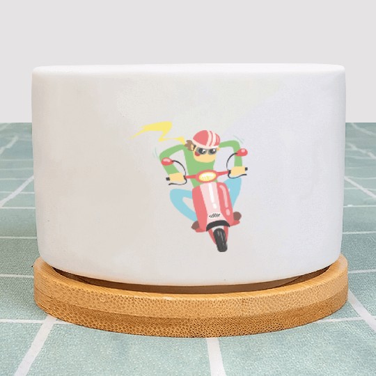 Scooter driver Plant Pots