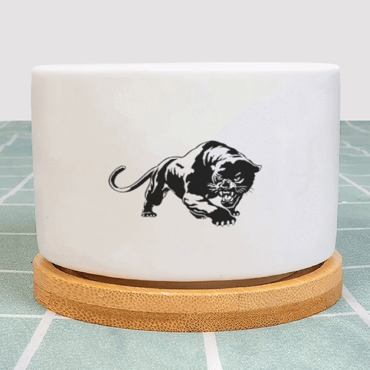 Black Panther Plant Pots