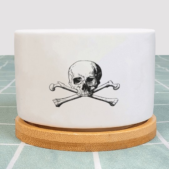 crossbones skull Plant Pots