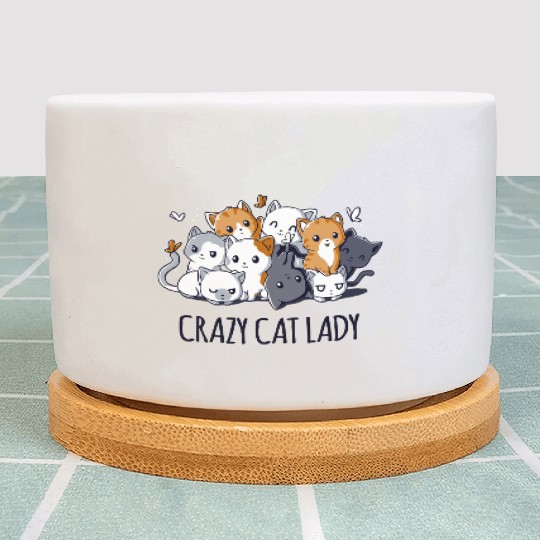 Crazy Cat Lady Plant Pots