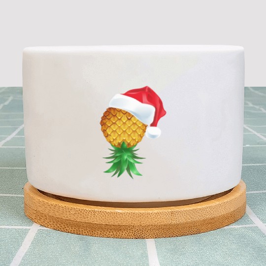 Santa Hat Swinger Upside Down Pineapple Plant Pots