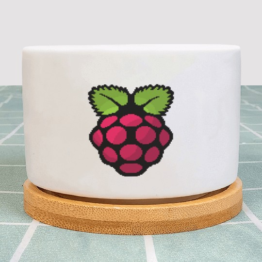 Raspberry Pi Pixel Logo Plant Pots