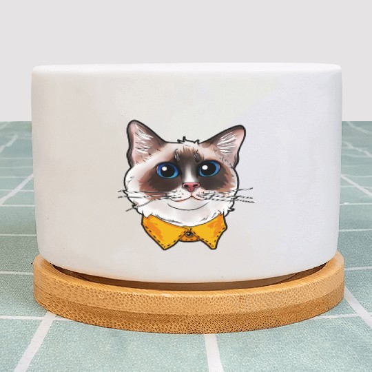 Ragdoll Cat Face Cats funny cute sweet Kitty gift Plant Pots
