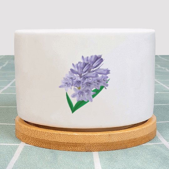 Flower Spring Bluebell Violet - Gift Idea Plant Pots