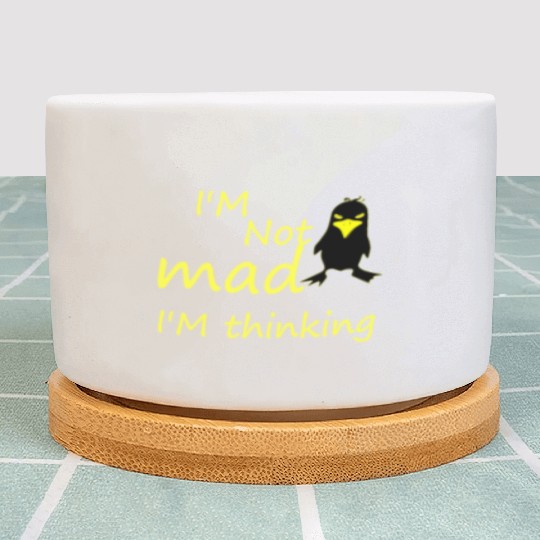 I'm Not Mad I'm Thinking Cute Angry Bird Plant Pots