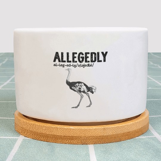 Letterkenny Allegedly English Teacher Gift Plant Pots