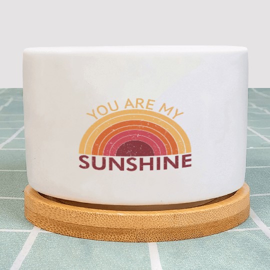 You Are My Sunshine Plant Pots