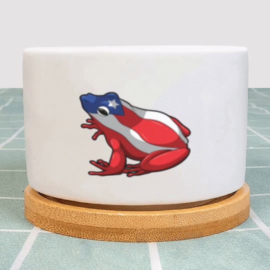 Puerto Rican Coqui Frog - Puerto Rico Plant Pots