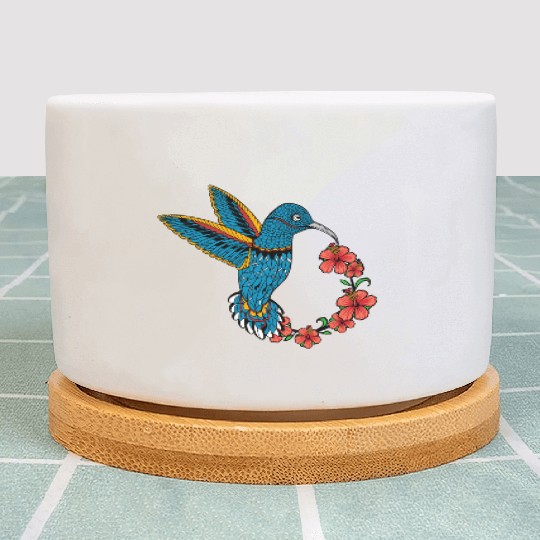 Humming bird hibiscus Plant Pots