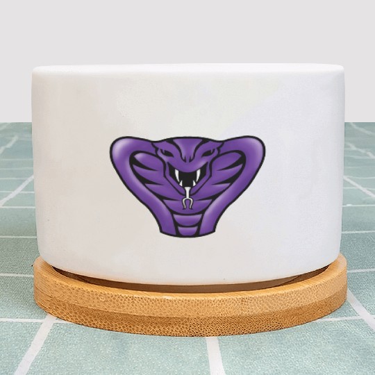 globo gym costume Plant Pots