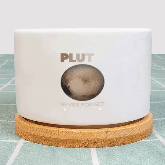 Pluto Never Forget 1930-2006 Plant Pots