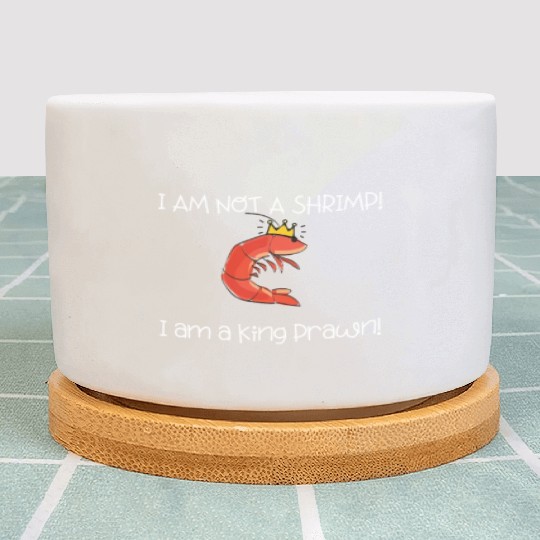 I Am Not A Shrimp, I Am King Prawn Plant Pots