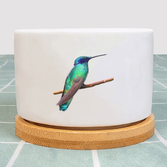 Hummingbird Plant Pots