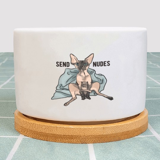Point Seal Sphynx Cat - Send Nudes - Funny Quote - Plant Pots