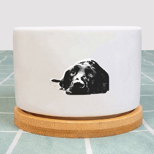 Black Labrador Retriever Plant Pots