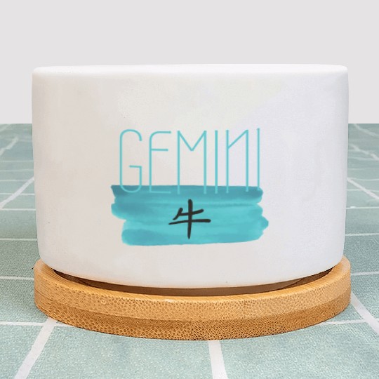 GEMINI OX AESTHETIC ZODIAC Plant Pots