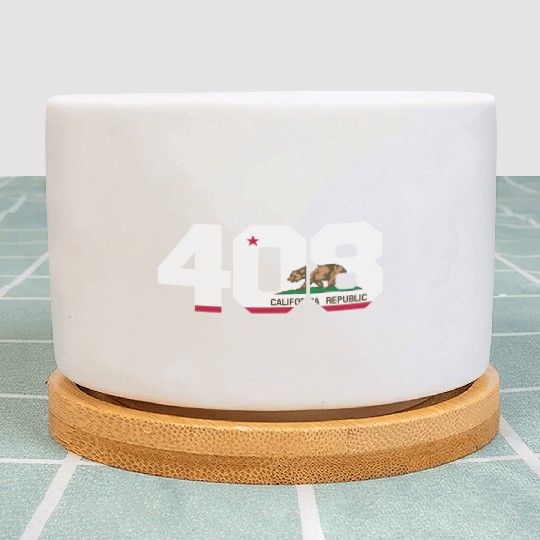 Area Code 408 San Jose California Plant Pots