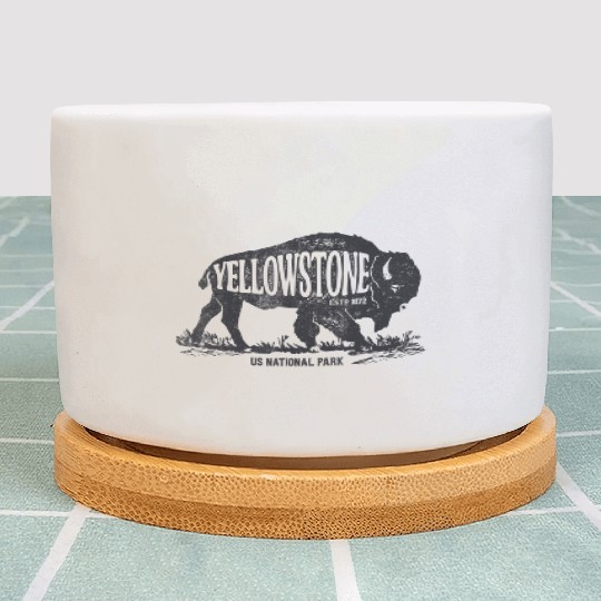 YStone National Park US Bison Buffalo Vintage Plant Pots