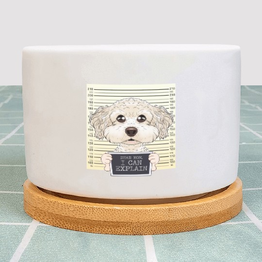 Dear Mom I Can Explain I Bichon Frise Mom I Bichon Plant Pots
