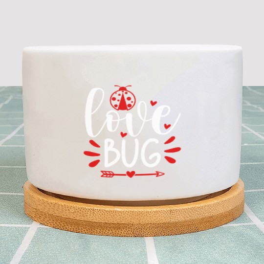 Valentines Day Gifts Love Bug Plant Pots