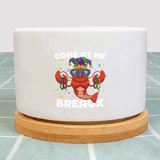 Come At Me Breaux Crawfish Beads Funny Mardi Gras Plant Pots