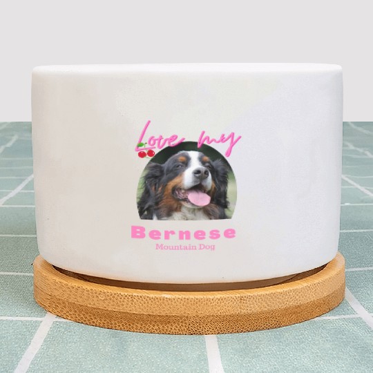 Love my Bernese Mountain Dog Girl Plant Pots