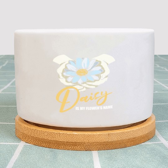 Daisy Garden Gardening Gardener Plant Pots