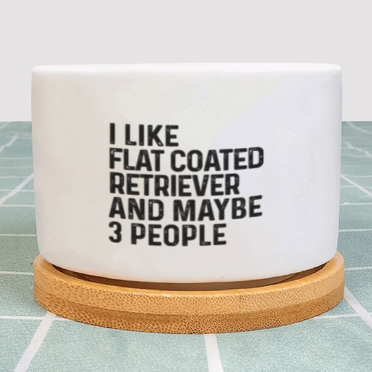 I Like Flat Coated Retriever And Maybe 3 People Plant Pots