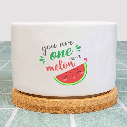 you are one in a melon- cute watermelon Plant Pots