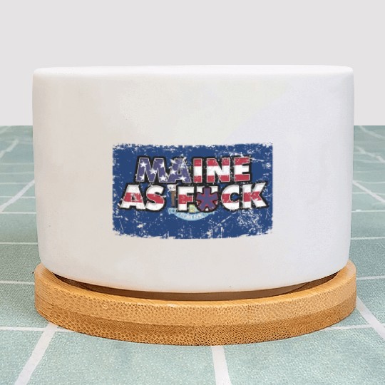 America US Flag State Flag Maine Plant Pots