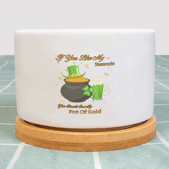 See My Pot Of Gold St Patty's Day Cute Joke Plant Pots
