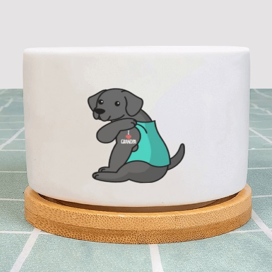 Great Dane I Love Grandpa Plant Pots