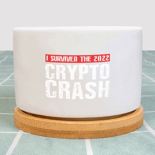 I SURVIVED THE 2022 CRYPTO CRASH RETRO Plant Pots