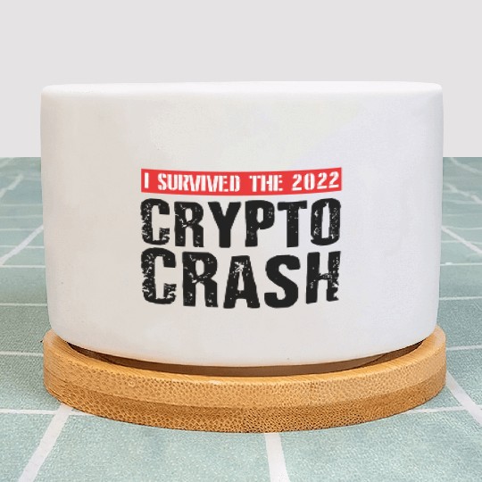 I SURVIVED THE 2022 CRYPTO CRASH Plant Pots