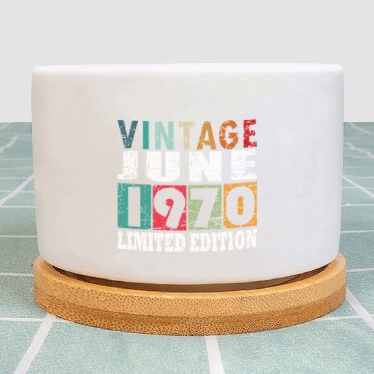 1970 vintage born in June gift Plant Pots