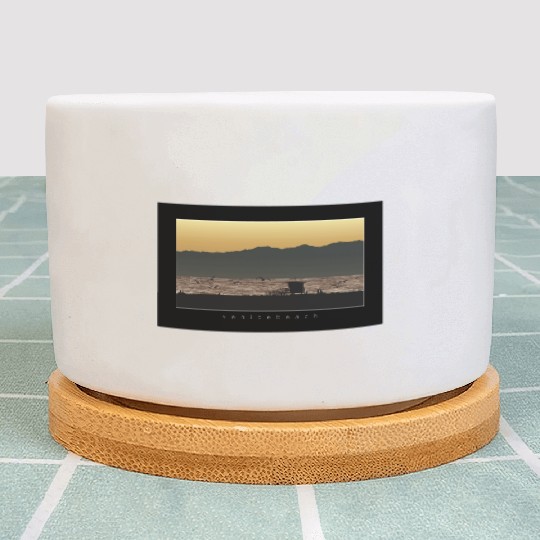 Venice Beach California Sunset Plant Pots