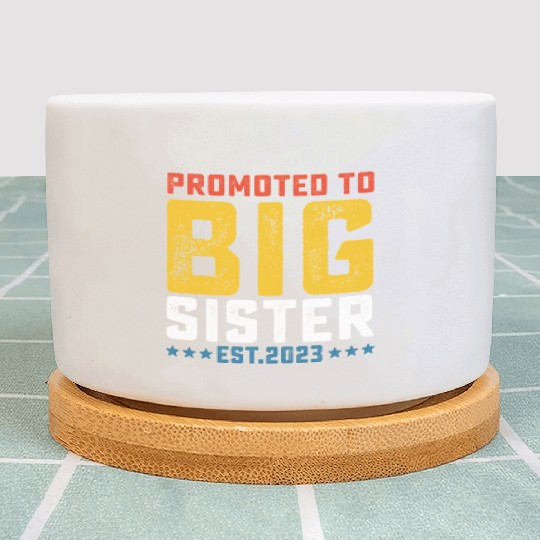 Promoted To Big Sister Est 2023 Plant Pots