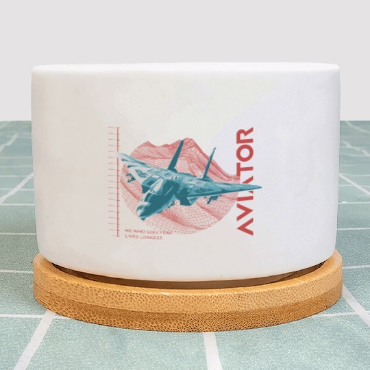 Aviator F-14 Tomcat Plant Pots