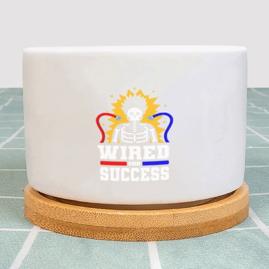 Electrician Electrical Engineer Lineman Plant Pots