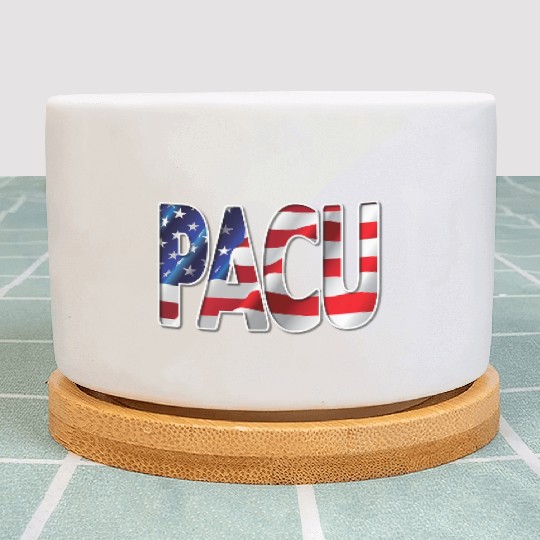 Nurses USA Flag Stars Stripes PACU Plant Pots