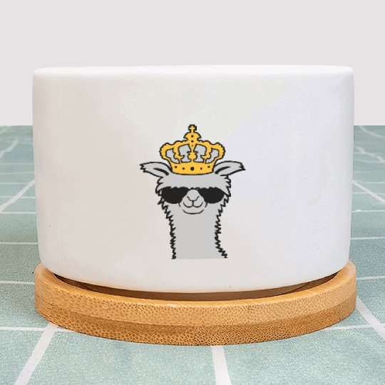 King llama sunglasses stay Plant Pots
