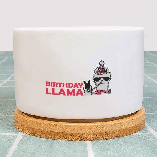Birthday Llama No Drama Plant Pots