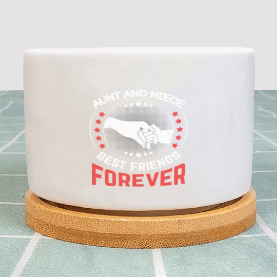 Aunt and Niece Best Friends Forever Plant Pots