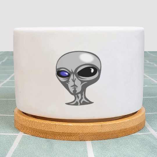 Roswell New Mexico Grey Alien Plant Pots