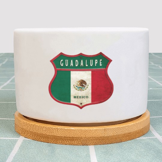 Guadalupe Mexico crest design Plant Pots