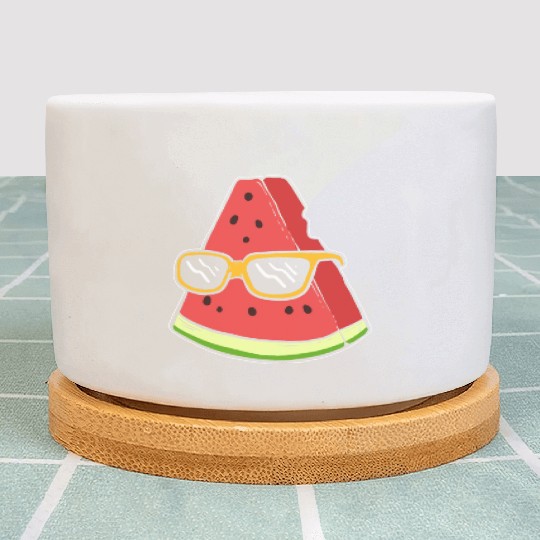 Chilling Watermelon Tourist Gift Plant Pots